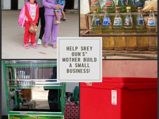 Small Business Success for Srey Oun* Small Business Success for Srey Oun*